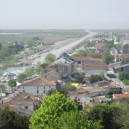 Grande maison charentaise avec vue sur le chenal superbes couchés de soleil sur l estuaire de la gironde! Mortagne-sur-Gironde Extérieur photo
